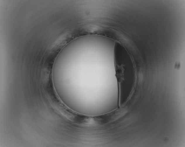 X0000112850558200908211033