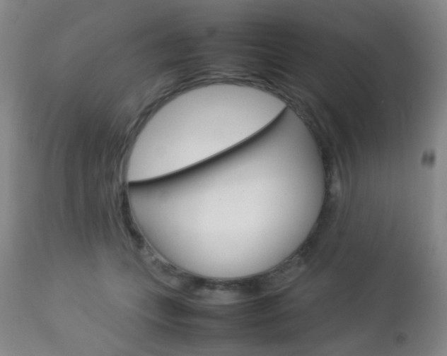 X0000112850559200908211033