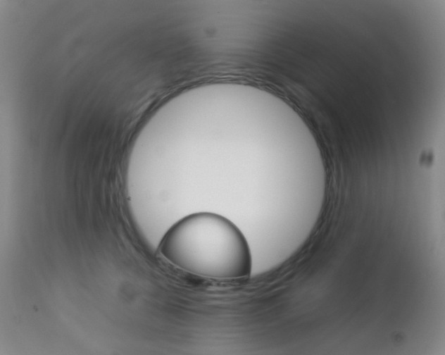 X0000112850560200908211033