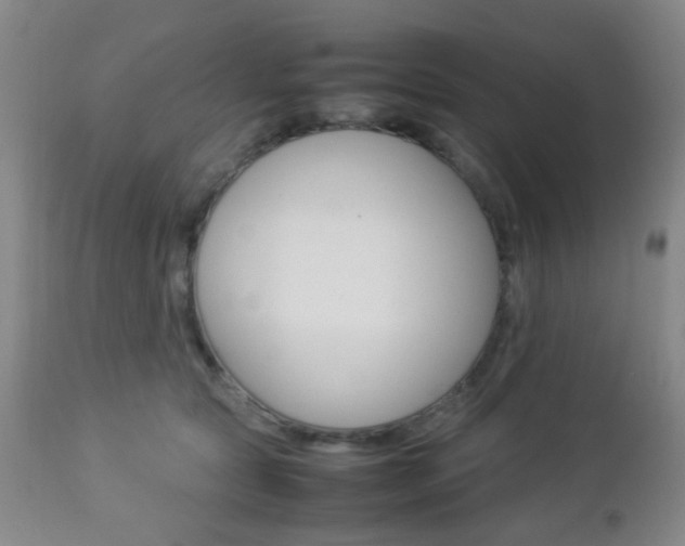 X0000112850561200908211033