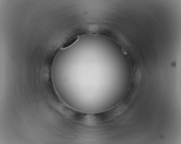 X0000112850562200908211033