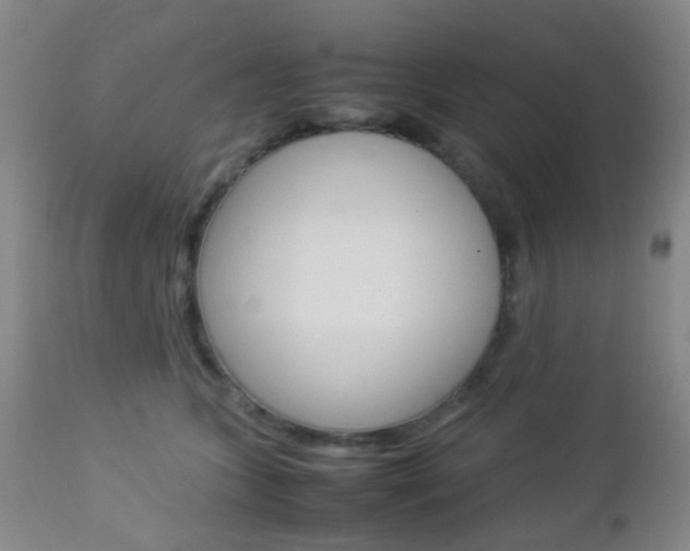 X0000112850563200908211033