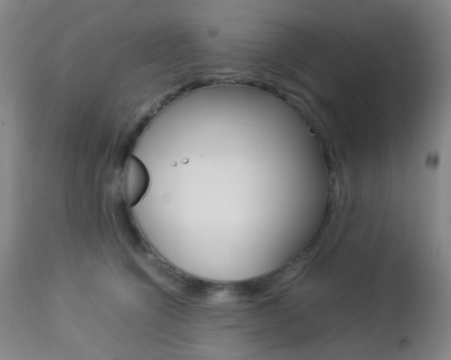 X0000112850564200908211033