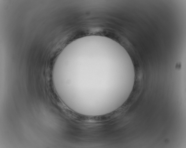 X0000112850565200908211033