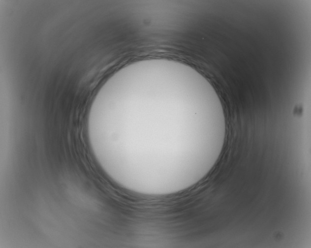 X0000112850566200908211033