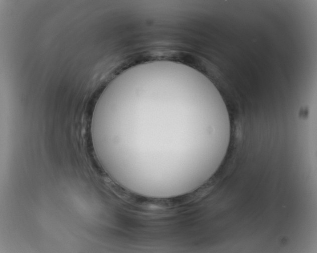X0000112850567200908211033