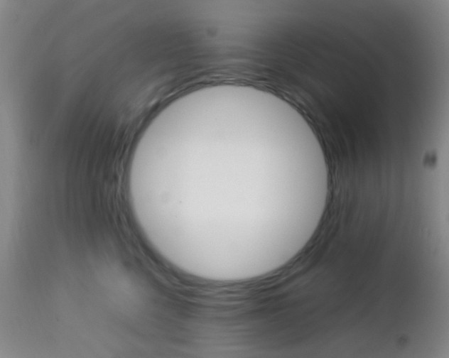 X0000112850568200908211033
