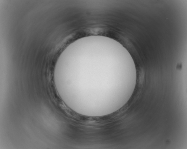 X0000112850569200908211033