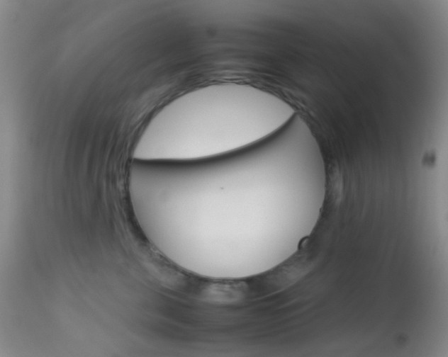 X0000112850571200908211033