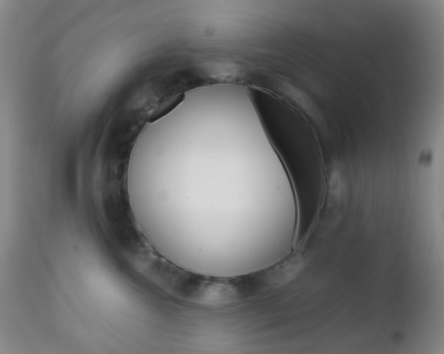 X0000112850572200908211033