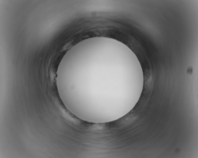 X0000112850574200908211033