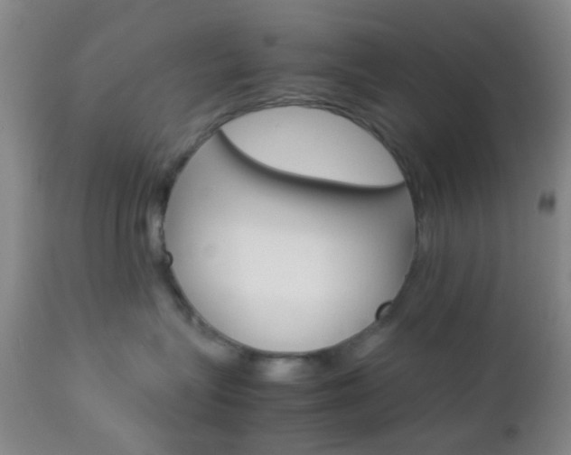 X0000112850575200908211033