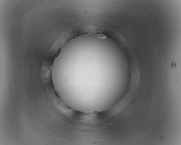 X0000112850576200908211033