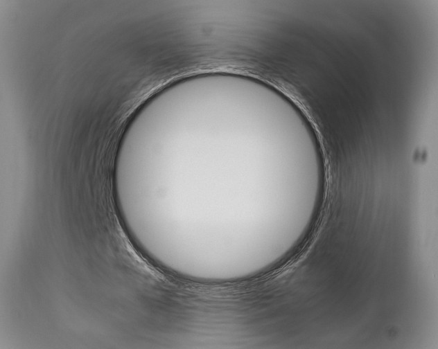 X0000112850577200908211033