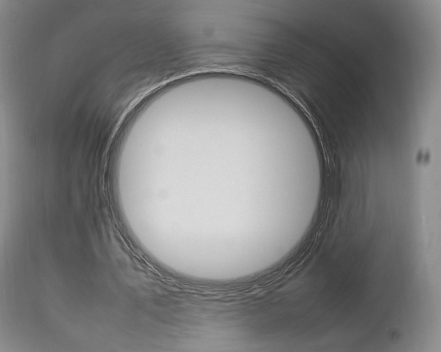 X0000112850579200908211033