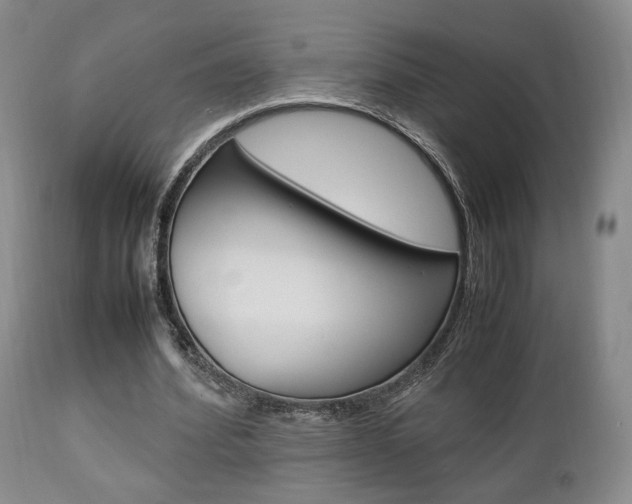 X0000112850580200908211033