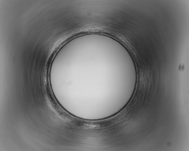 X0000112850582200908211033