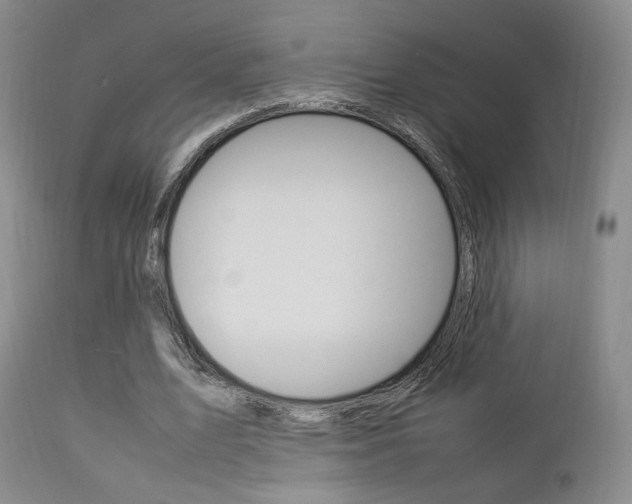 X0000112850583200908211033