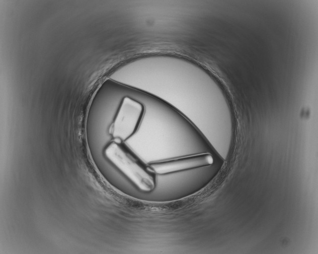 X0000112850585200908211033