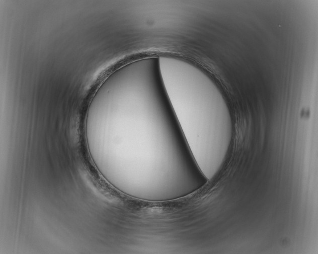 X0000112850588200908211033