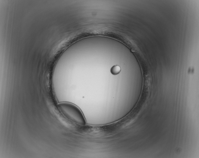X0000112850589200908211033