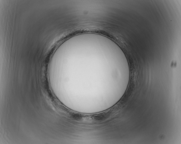 X0000112850591200908211033