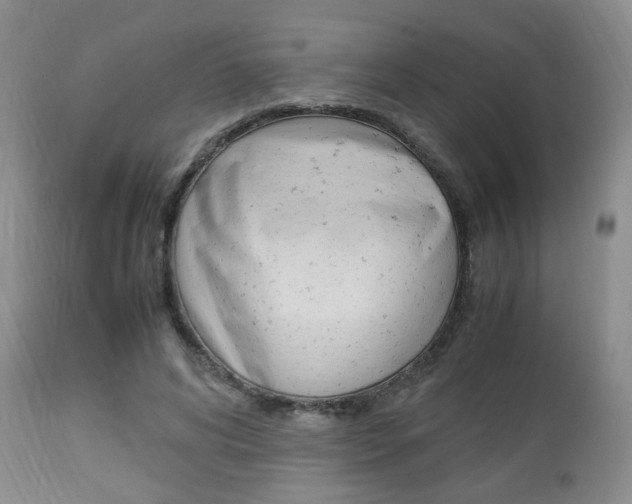 X0000112850592200908211032