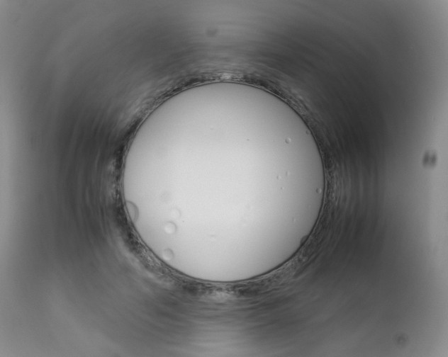 X0000112850594200908211032