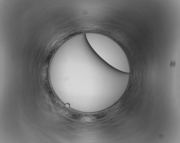 X0000112850595200908211032