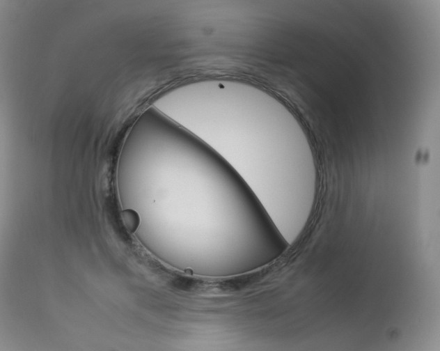 X0000112850597200908211032