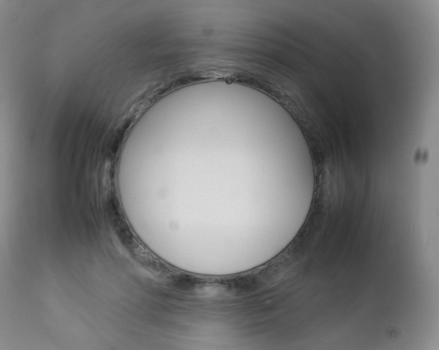 X0000112850598200908211032