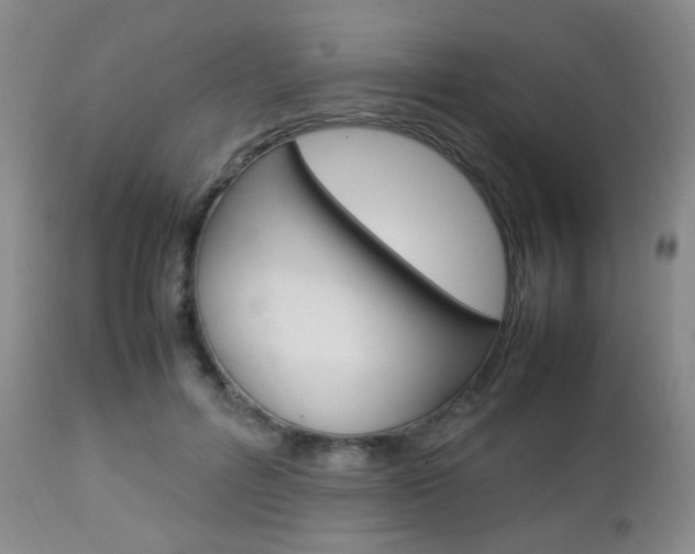 X0000112850600200908211032