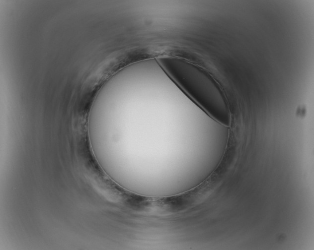 X0000112850601200908211032