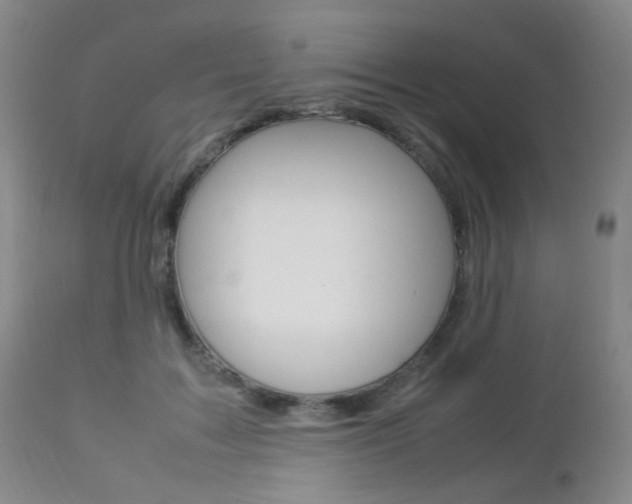 X0000112850603200908211032