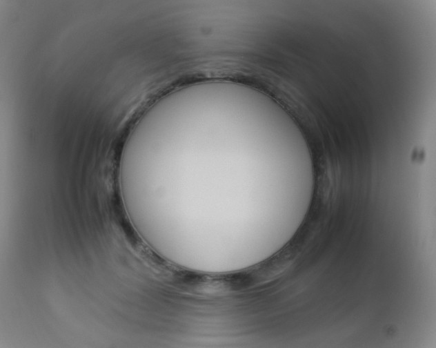X0000112850604200908211032