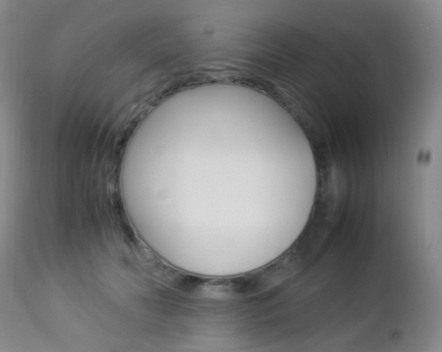 X0000112850606200908211032