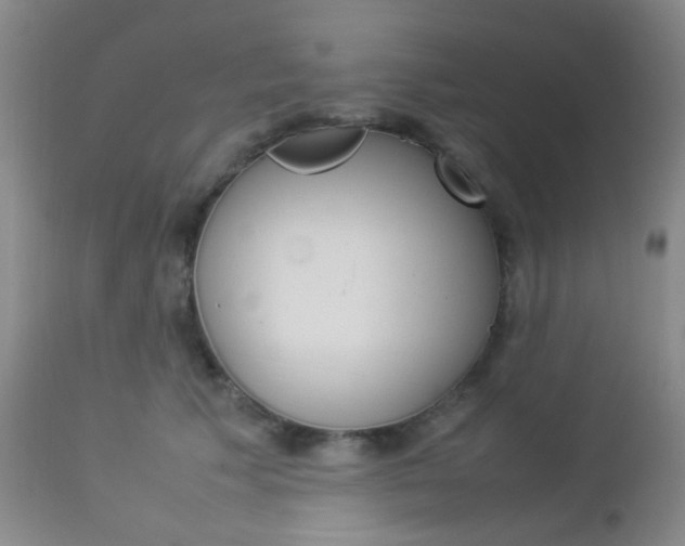 X0000112850609200908211032