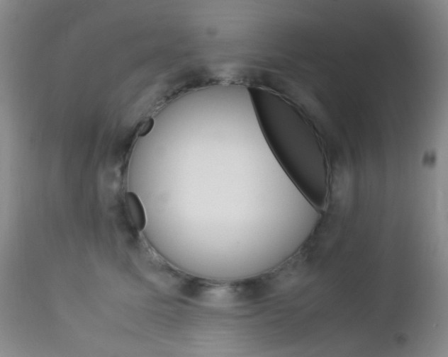 X0000112850611200908211032