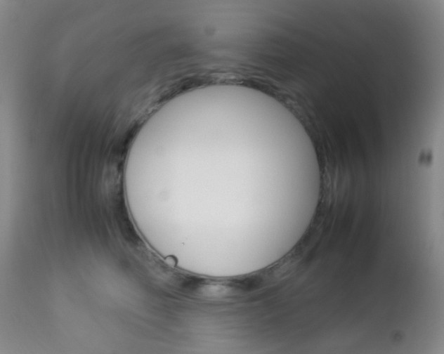 X0000112850614200908211032