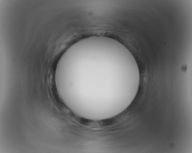X0000112850615200908211032