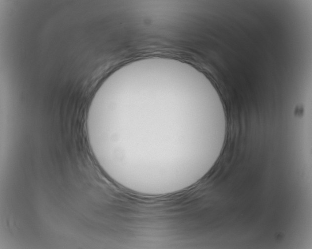 X0000112850621200908211032