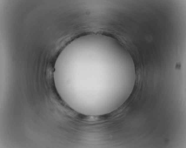 X0000112850623200908211032