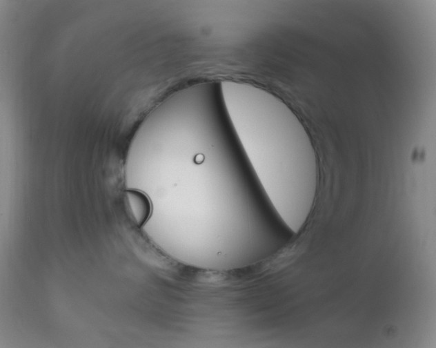 X0000112850624200908211032