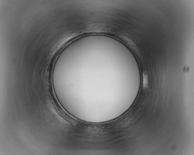 X0000112850627200908211031