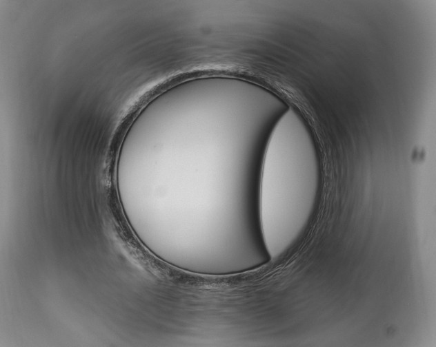 X0000112850628200908211031
