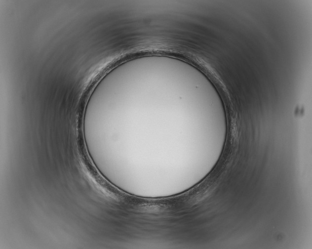 X0000112850629200908211031