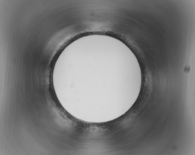 X0000112850632200908211031