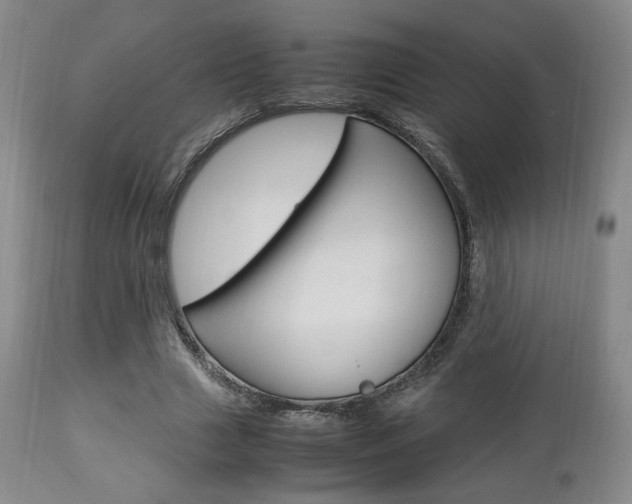 X0000112850633200908211032