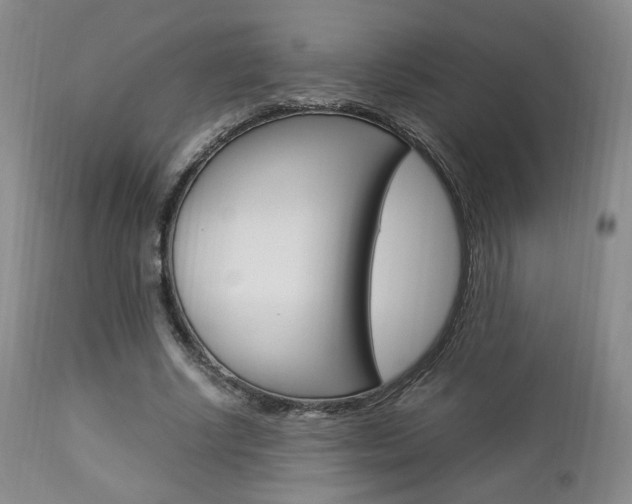 X0000112850634200908211032