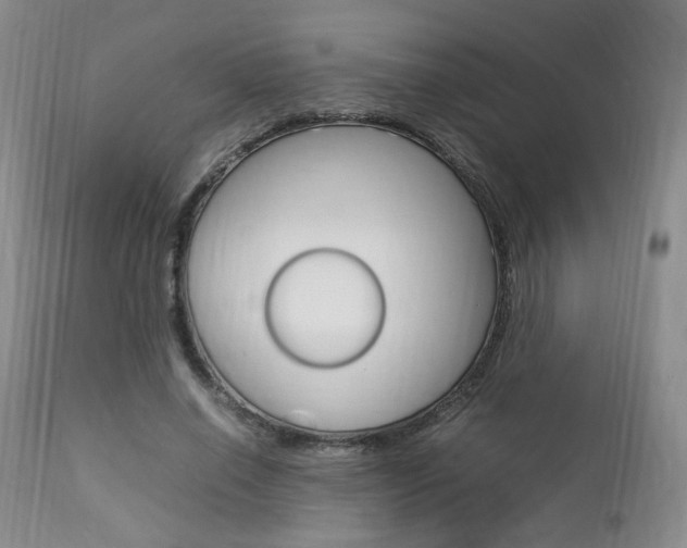 X0000112850638200908211032